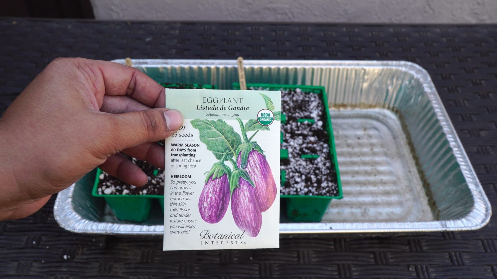 How To Grow Eggplants A Complete Guide To Growing Eggplants (Solanum Melongena) + RECIPE