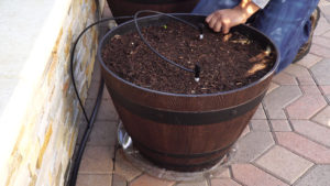 Drip Irrigation For Containers