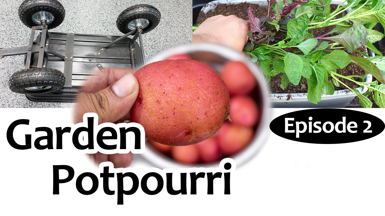 Garden Potpourri Episode 2 – Gardening Tips, Hacks & More!