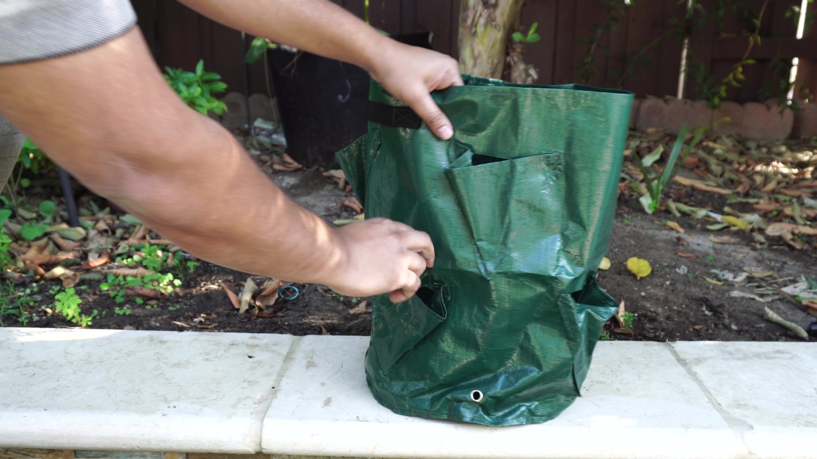 How to Grow Strawberries in Strawberry Grow Bags