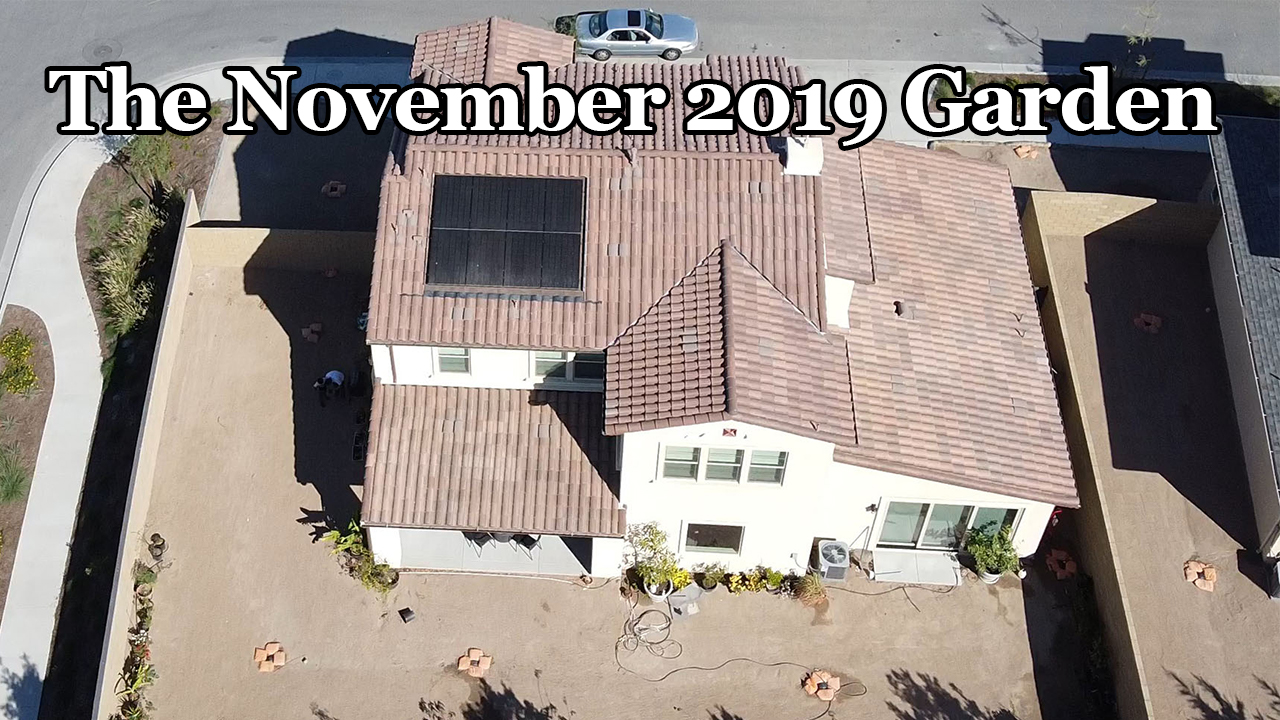 California Gardening November 2019 Garden Tour – Drone Views, Harvests and more!