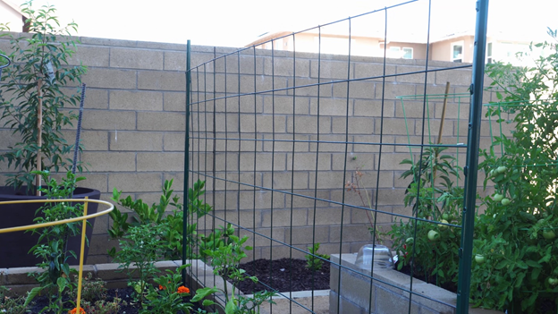 Wire remesh horizontally affixed in one raised bed
