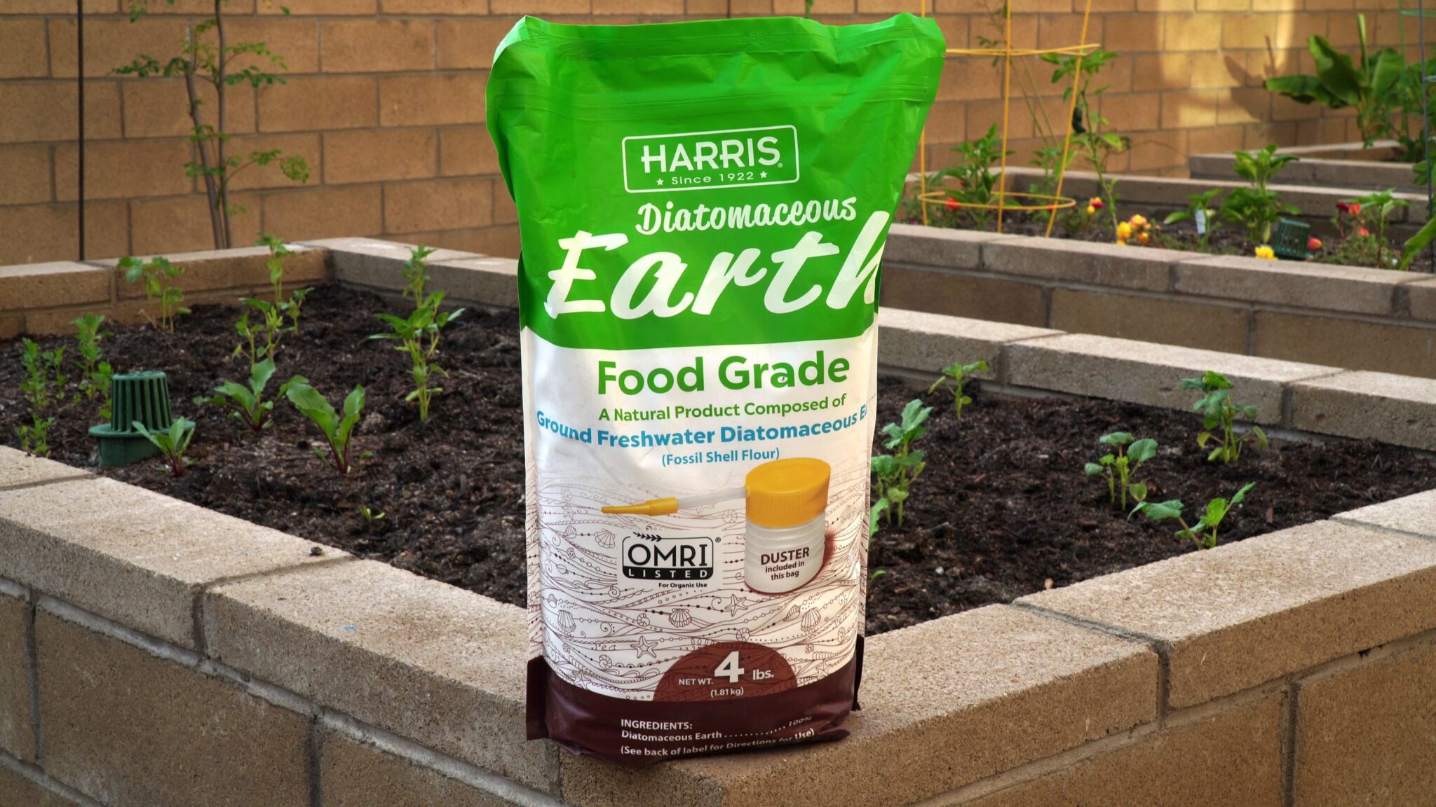 What is Diatomaceous Earth and How to use it in your Garden?