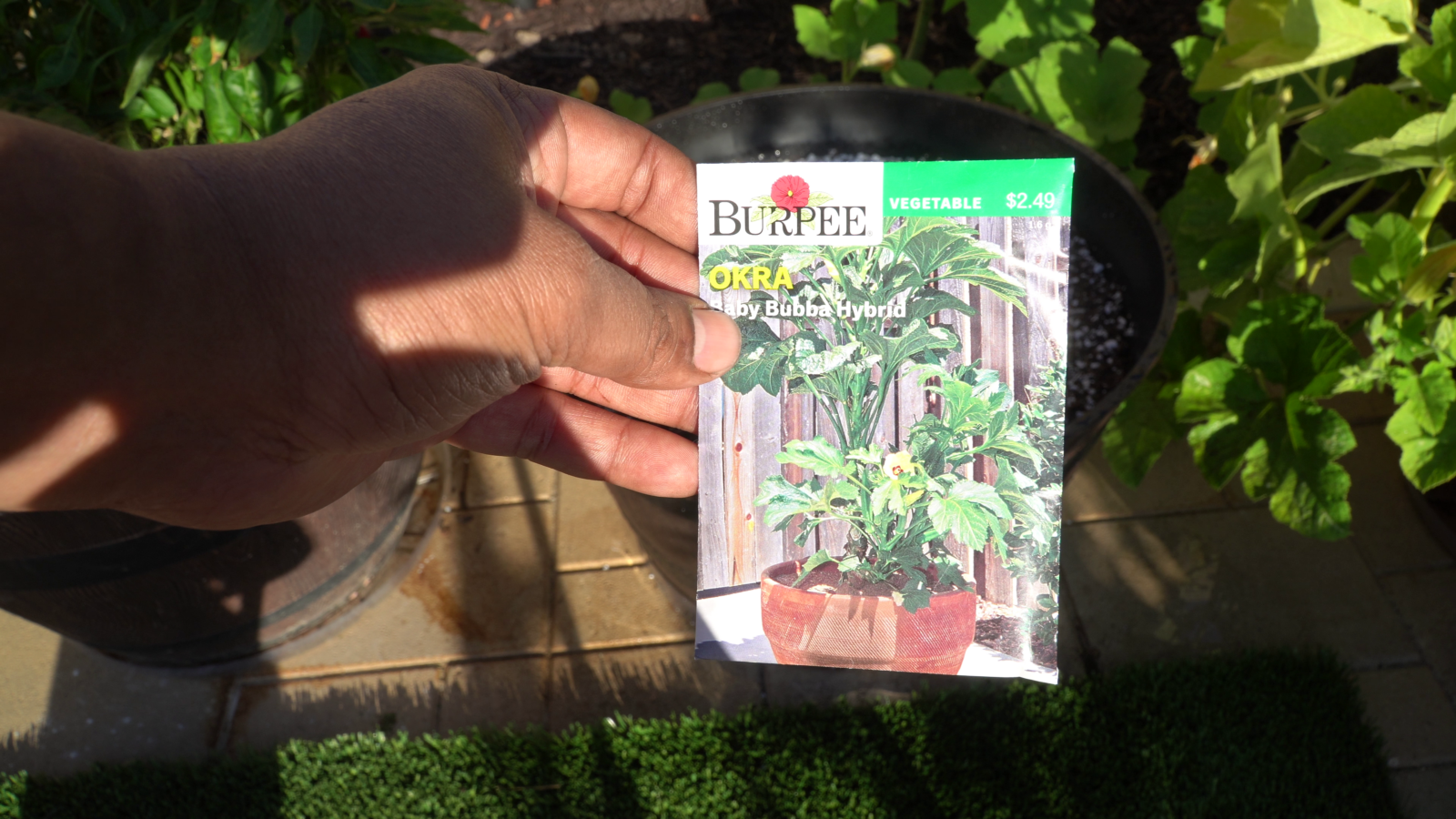 Top 5 Okra Growing Tips Using Containers