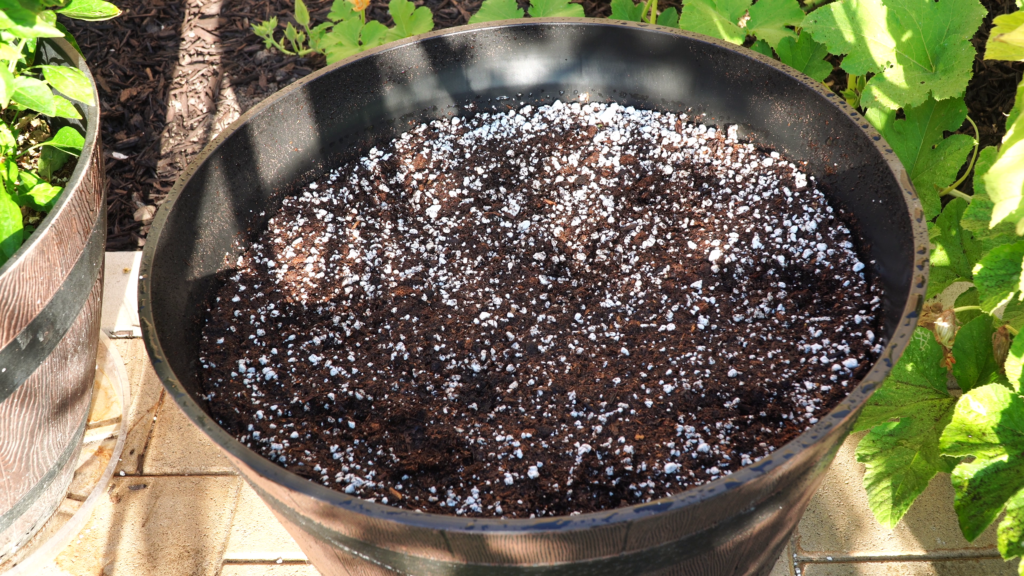 Soil for growing okra