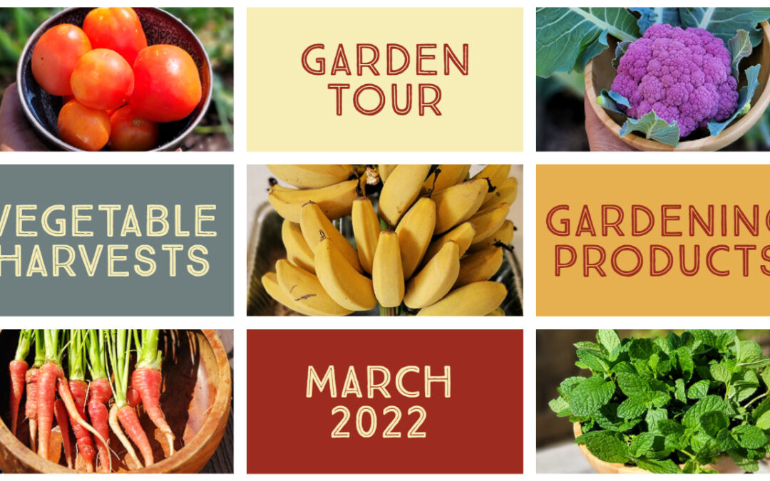 Vegetable & Fruit Harvests, Garden Tour, Vitality, Mars Hydro Giveaway, Gardening Tips & Tricks!