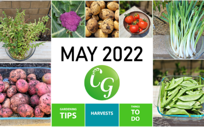 6 Tips for Preparing Your Garden for June – A California Gardening May Episode